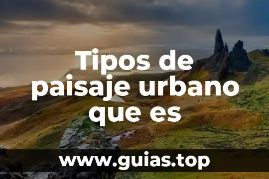 Para que es el programa municipal de desarrollo urbano 3 Tipos de paisaje urbano que es