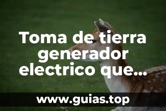 Que es rango en un circuito electrico 8 Toma de tierra generador electrico que es