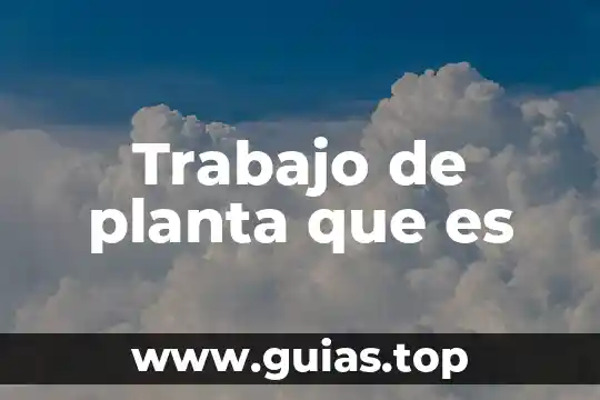 Que es trabajo publicitario 6 Trabajo de planta que es
