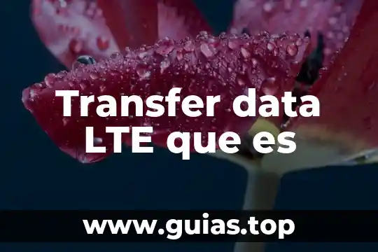 Data guar broker que es 7 Transfer data LTE que es