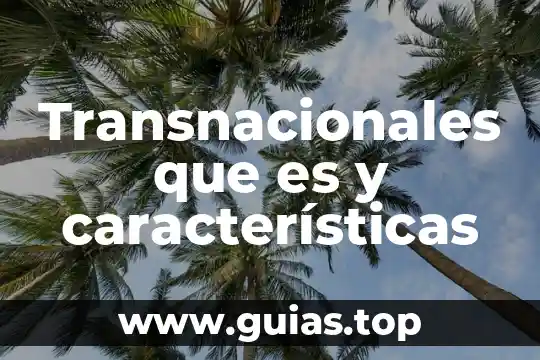Qué es un lector tipos y características 4 Transnacionales que es y características