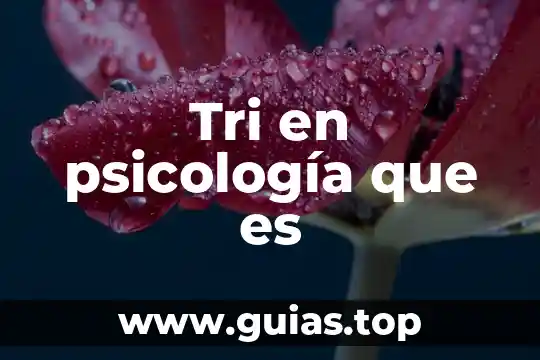 Que es psicologia ontogónica 4 Tri en psicología que es