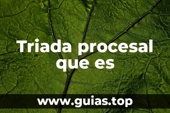 Que es el principio de inmediatez procesal en materia laboral 5 Triada procesal que es