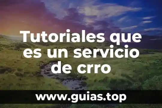 Que es el servicio medico subrogado 7 Tutoriales que es un servicio de crro