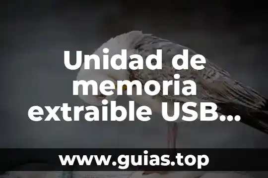 Qué es memoria de una computadora 4 Unidad de memoria extraible USB que es