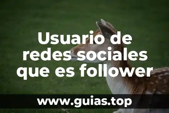 Que es historia en las ciencias sociales 8 Usuario de redes sociales que es follower