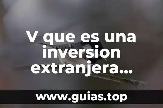 Qué es la idea de un proyecto de inversión 3 V que es una inversion extranjera directa ied