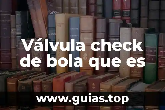 Qué es una válvula de control y una distribuidora 5 Válvula check de bola que es