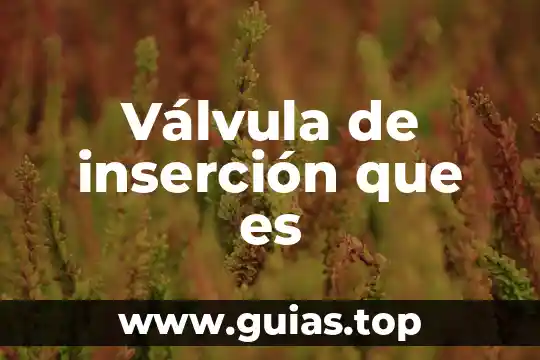 Qué es una válvula de control y una distribuidora 3 Válvula de inserción que es