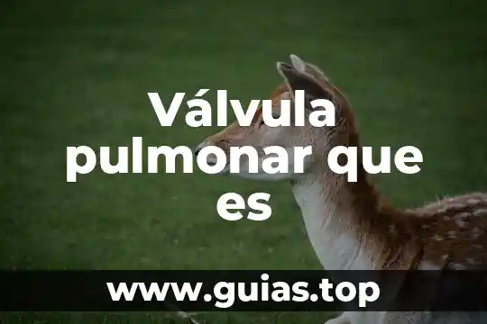 Que es tu nombre del animal 3 Válvula pulmonar que es