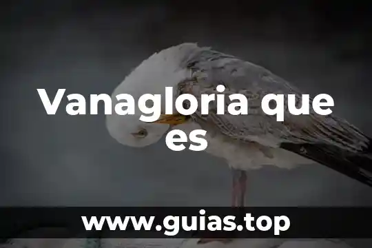 Que es un color negativo fisica 3 Vanagloria que es