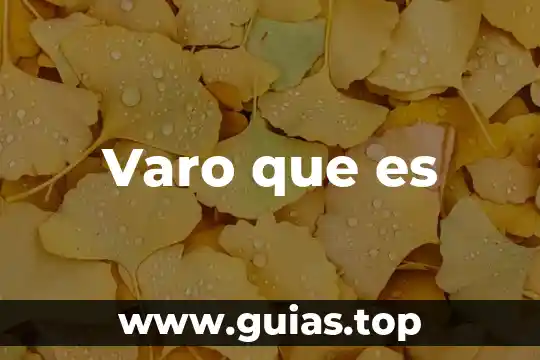 Que es un intermediarios libres 7 Varo que es