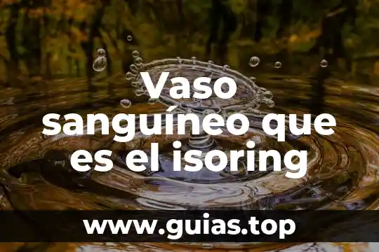 En metodología que es el planteamiento del problema 7 Vaso sanguíneo que es el isoring