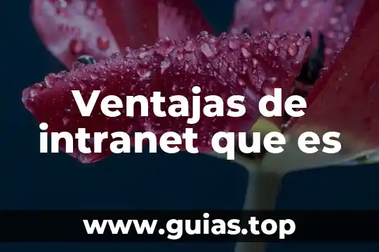 Qué es patronímico en literatura 8 Ventajas de intranet que es