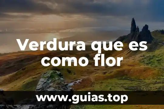 Qué es formatos multimedia 8 Verdura que es como flor