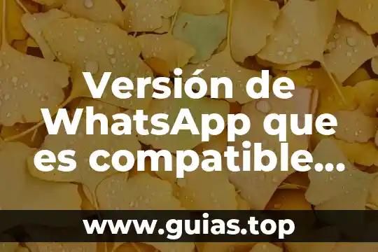 Qué es el día de descanso y tipos 4 Versión de WhatsApp que es compatible con los backups