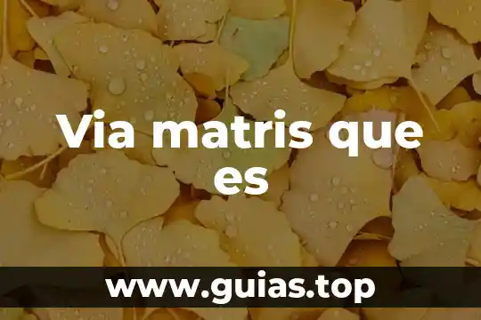 Que es la via lactea y el sol 3 Via matris que es