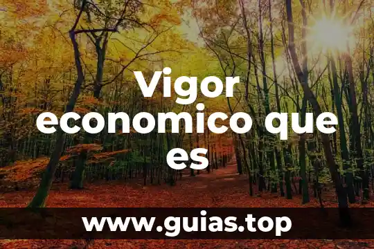 Qué es el predominio económico 5 Vigor economico que es