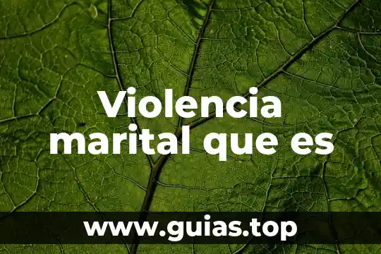 Que es el derecho a vivir libre de violencia 5 Violencia marital que es