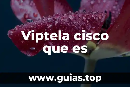 Qué es frame relay en redes cisco tracer 5 Viptela cisco que es