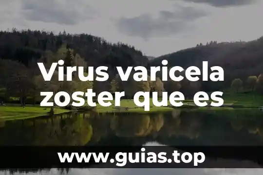 Qué es virus bacterias microorganismos protozoa y sus tipos 7 Virus varicela zoster que es