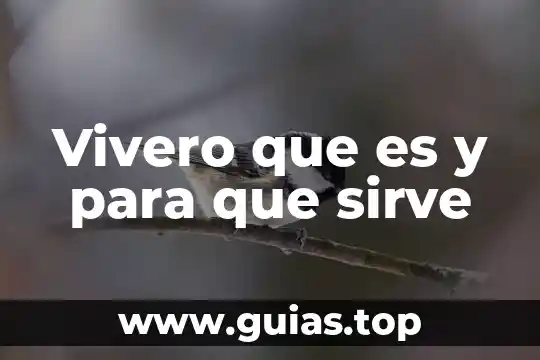 Que es el epival y para que sirve 7 Vivero que es y para que sirve