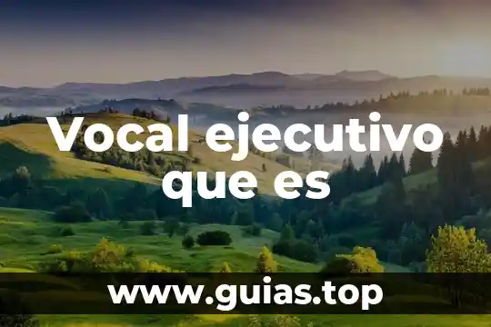 Que es el concepto de factura 8 Vocal ejecutivo que es