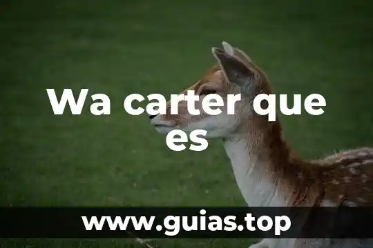 Que es la ilustracion immanuel carter 4 Wa carter que es