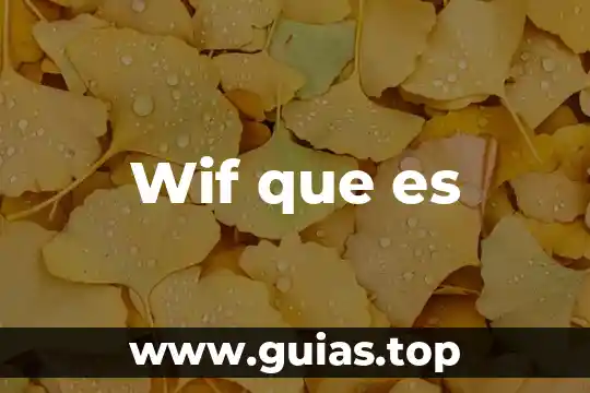 Qué es paradigma en f.c-e 4 Wif que es