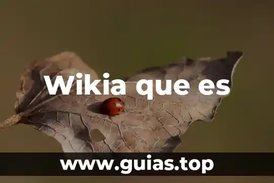 Wikia que es