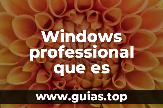 Que es windows en informacion 6 Windows professional que es