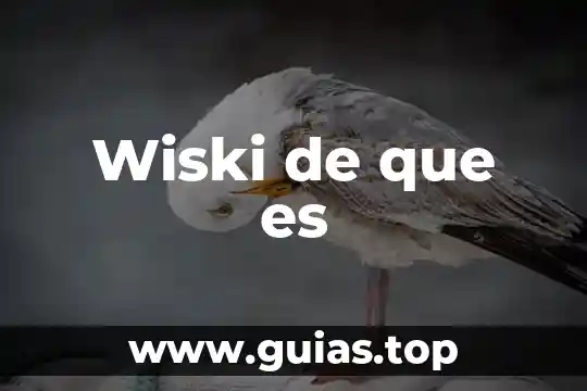 Que es ser hidalguense 8 Wiski de que es