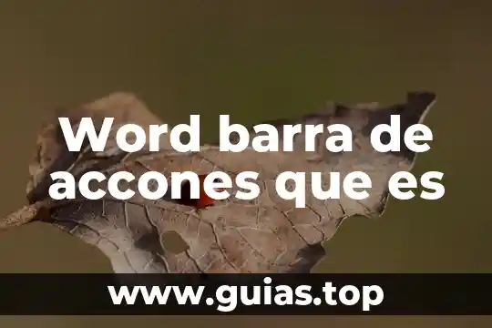 Que es el historial de la barra google chrome 5 Word barra de accones que es