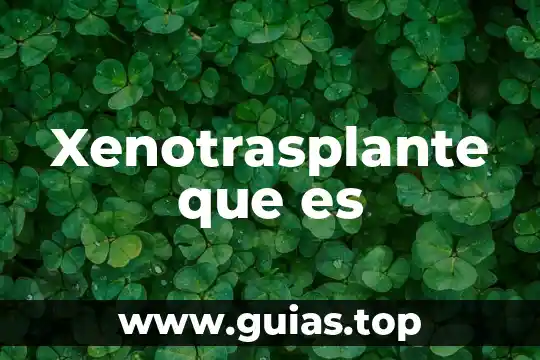 Espacio de color que es 8 Xenotrasplante que es
