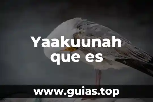 Vocablo griego significa los que es divisible 6 Yaakuunah que es
