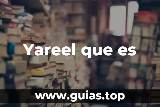 Qué es la obesidad y tipos 7 Yareel que es