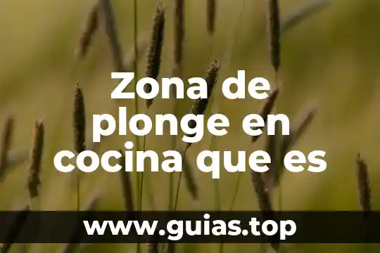 Que es zona de desarrollo proximo.edu 4 Zona de plonge en cocina que es